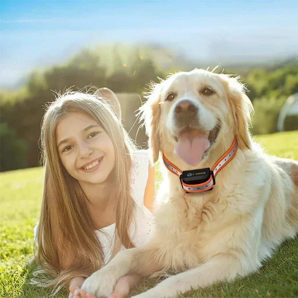 Girl lying in the grass with a golden retriever