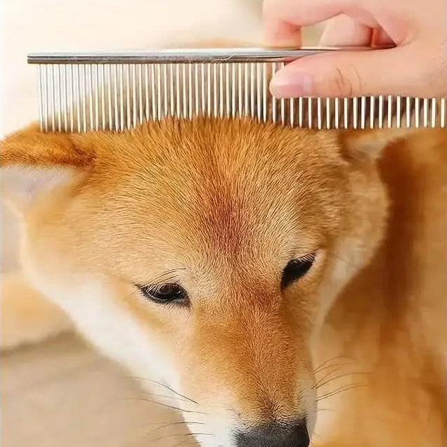 Set di forbici per la toelettatura degli animali GROOMIX — punte arrotondate di sicurezza, taglio preciso ed ergonomico