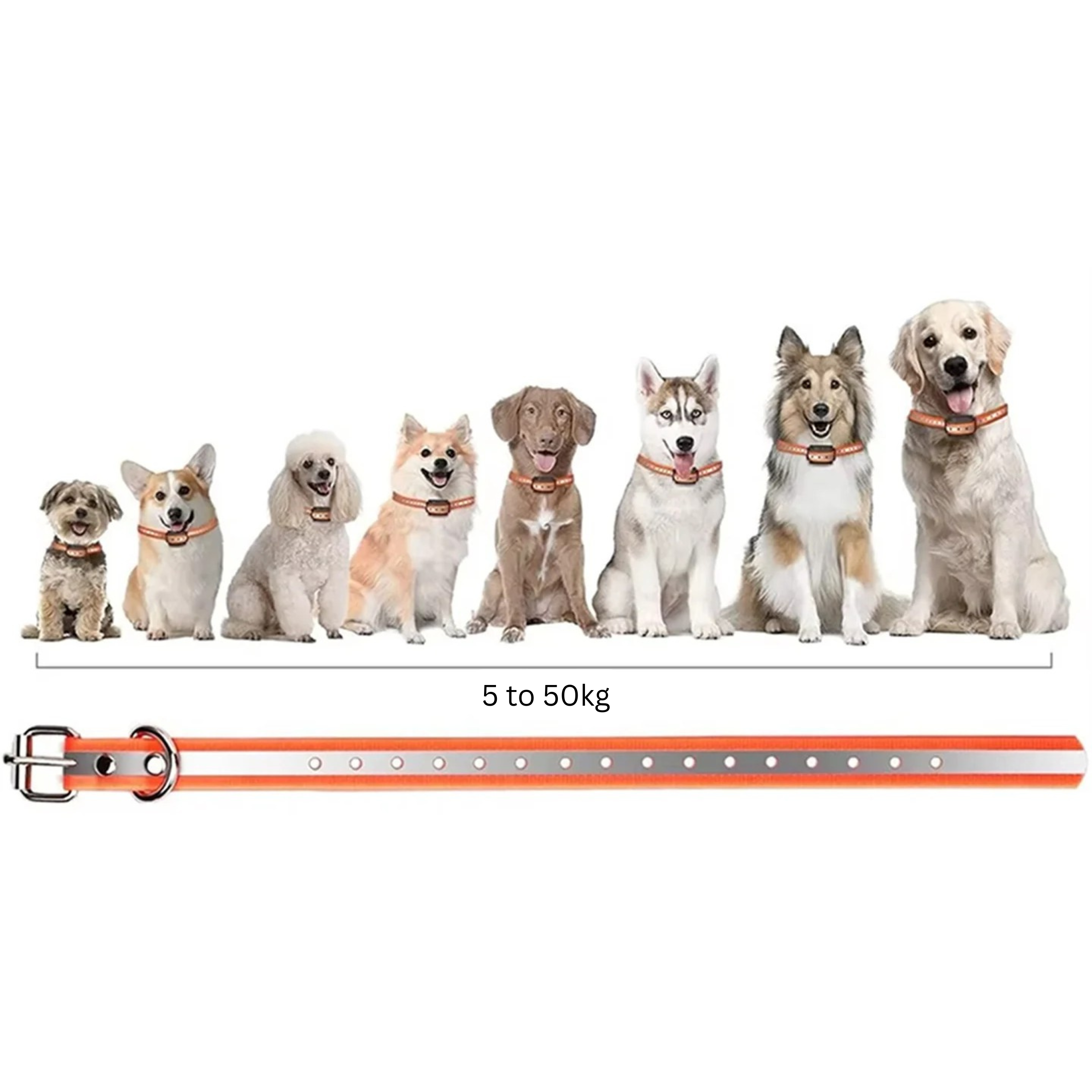 Canine Training Collar With 1000m Range, 3 Modes, Rechargeable IP67 Waterproof For Dogs
