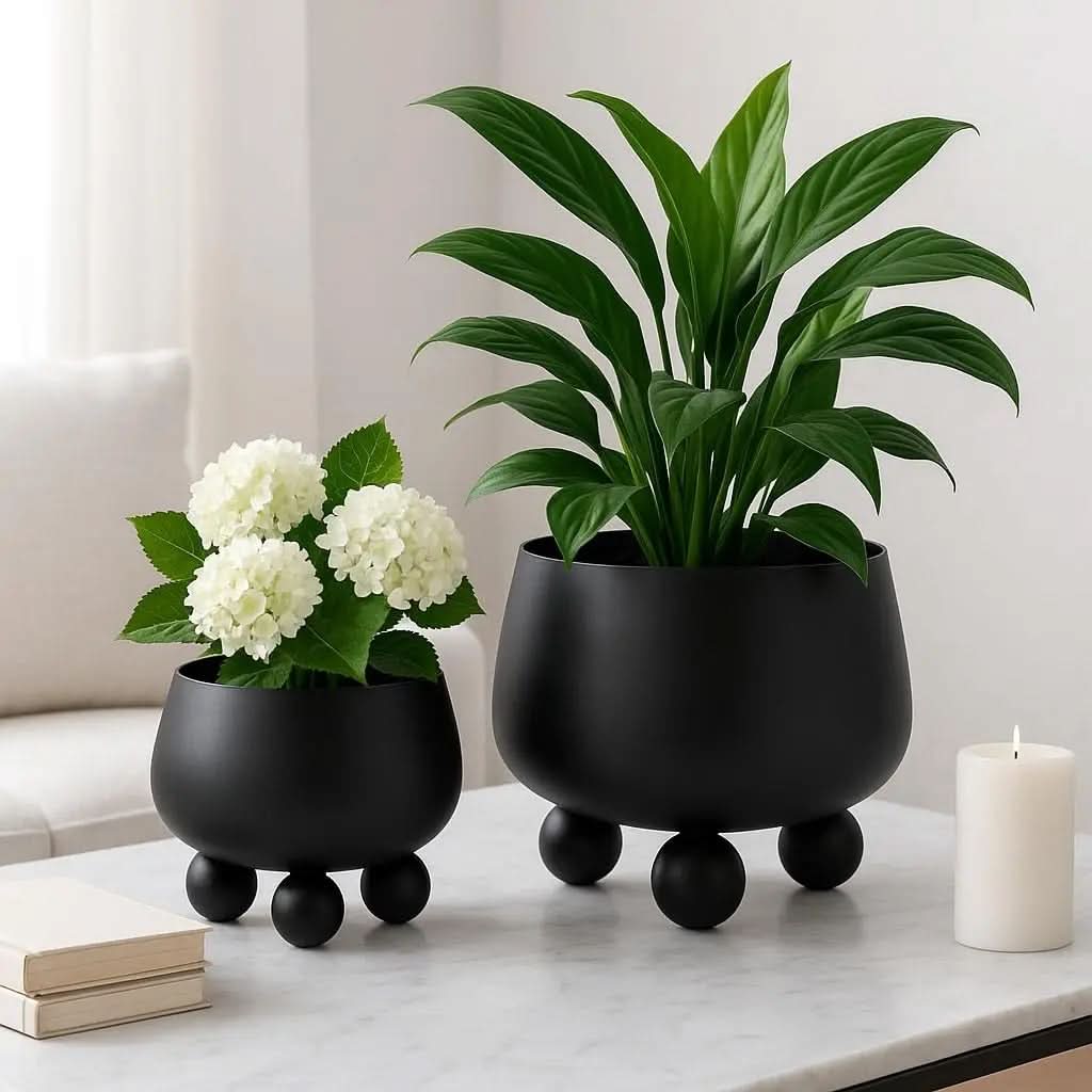 Ensemble de pots en céramique modernes NOIRBLOOM — Design minimaliste arrondi