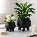 Ensemble de pots en céramique modernes NOIRBLOOM — Design minimaliste arrondi