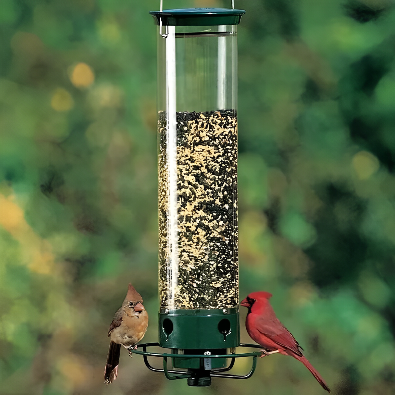Squirrel-Proof Bird Feeder Station With 2.3 Kg Capacity