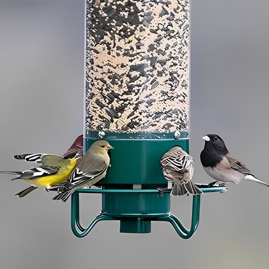 Squirrel-Proof Bird Feeder Station With 2.3 Kg Capacity