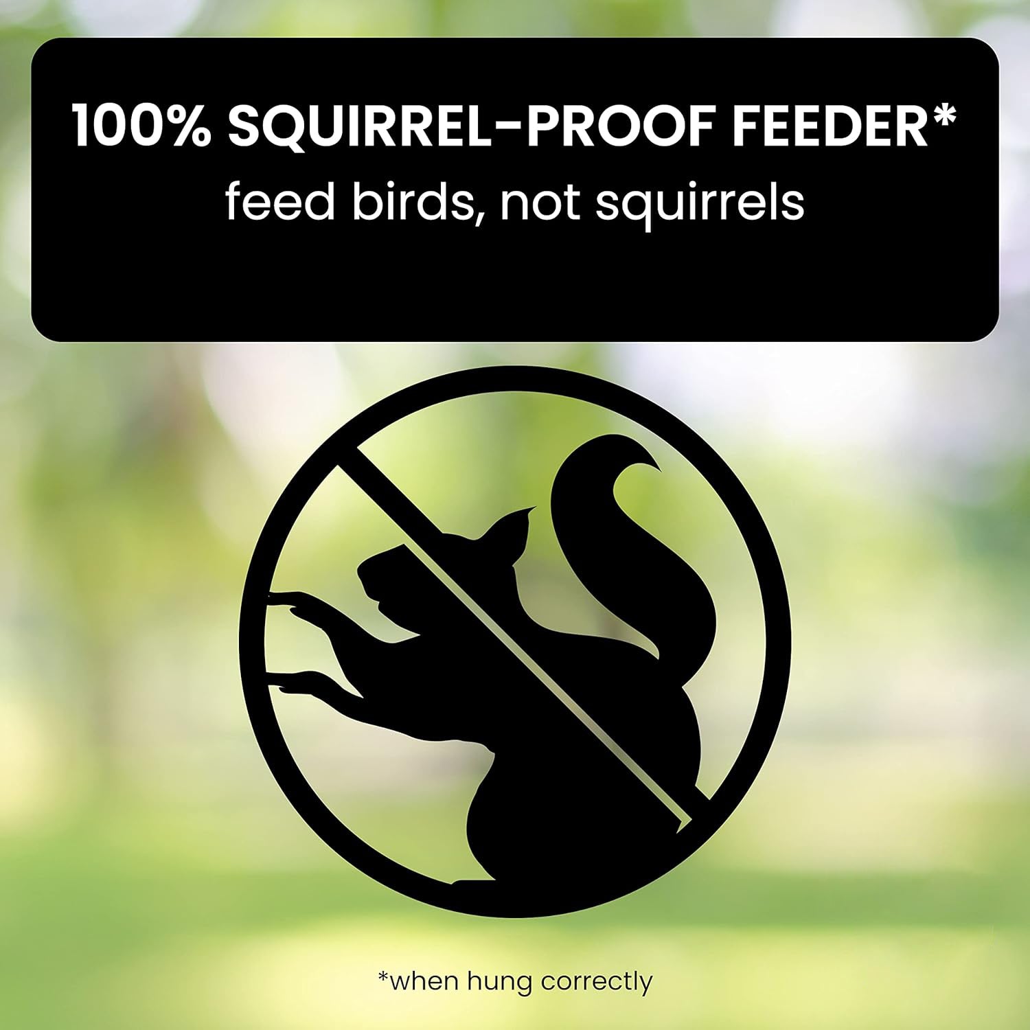 Squirrel-Proof Bird Feeder Station With 2.3 Kg Capacity