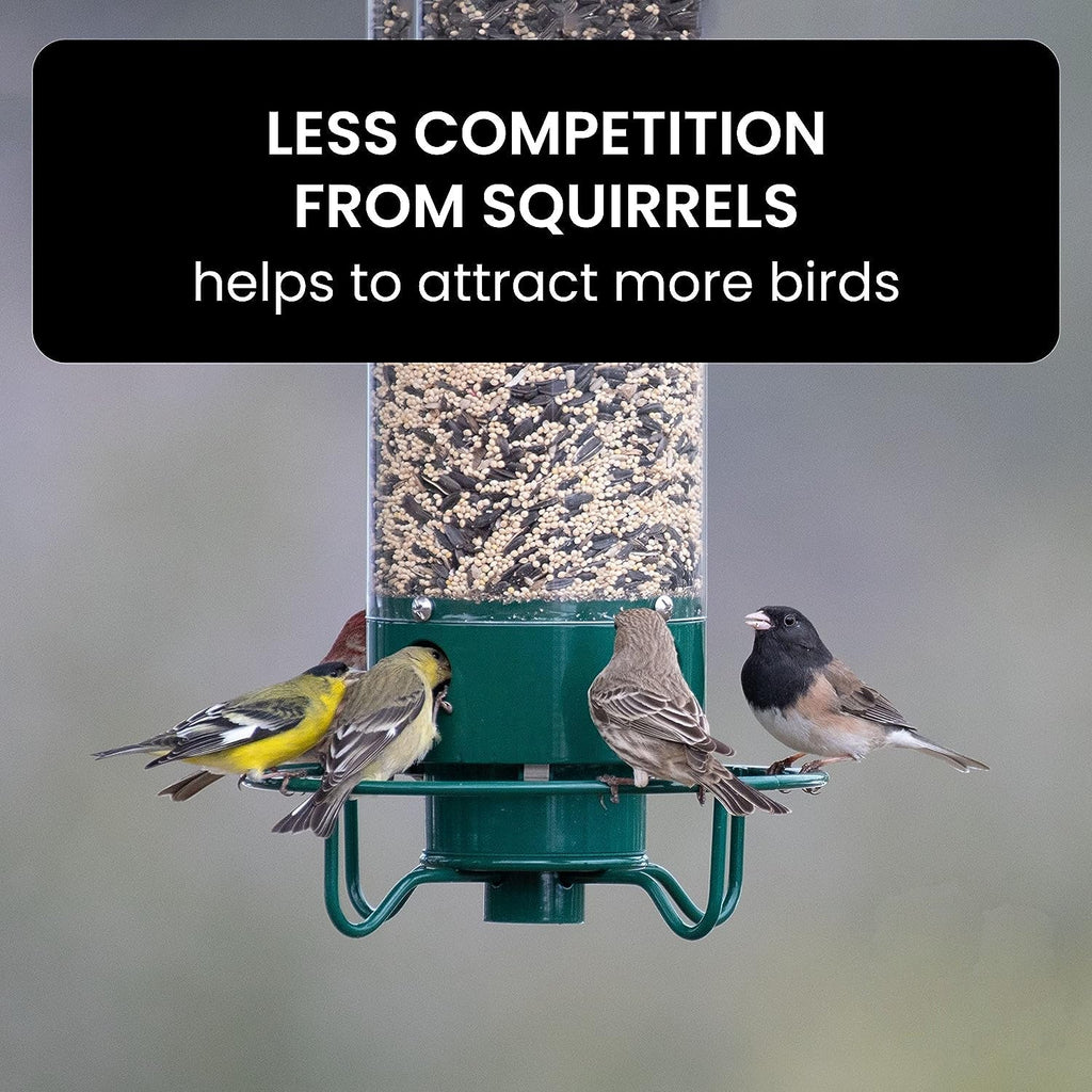 Squirrel-Proof Bird Feeder Station With 2.3 Kg Capacity