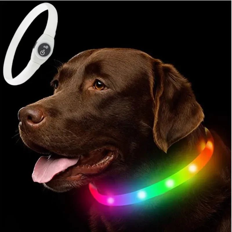 LumaPaw ledhalsband voor honden — via USB oplaadbaar, waterdicht, meerdere kleurmodi