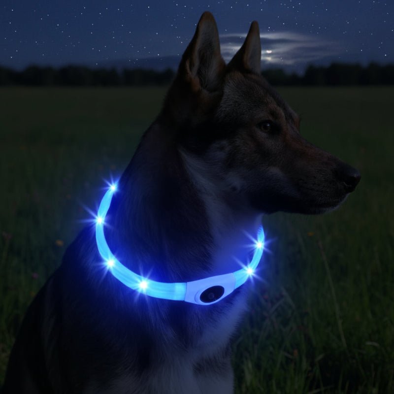 LumaPaw ledhalsband voor honden — via USB oplaadbaar, waterdicht, meerdere kleurmodi