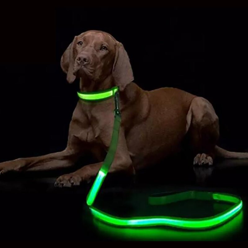 Correa LED para perro con carga USB LumaTrail, detalle de costuras reflectantes