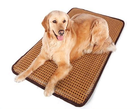 Draagbare verkoelingsmat voor honden uit de Baxter-collectie — ademende, gevoerde ondersteuning