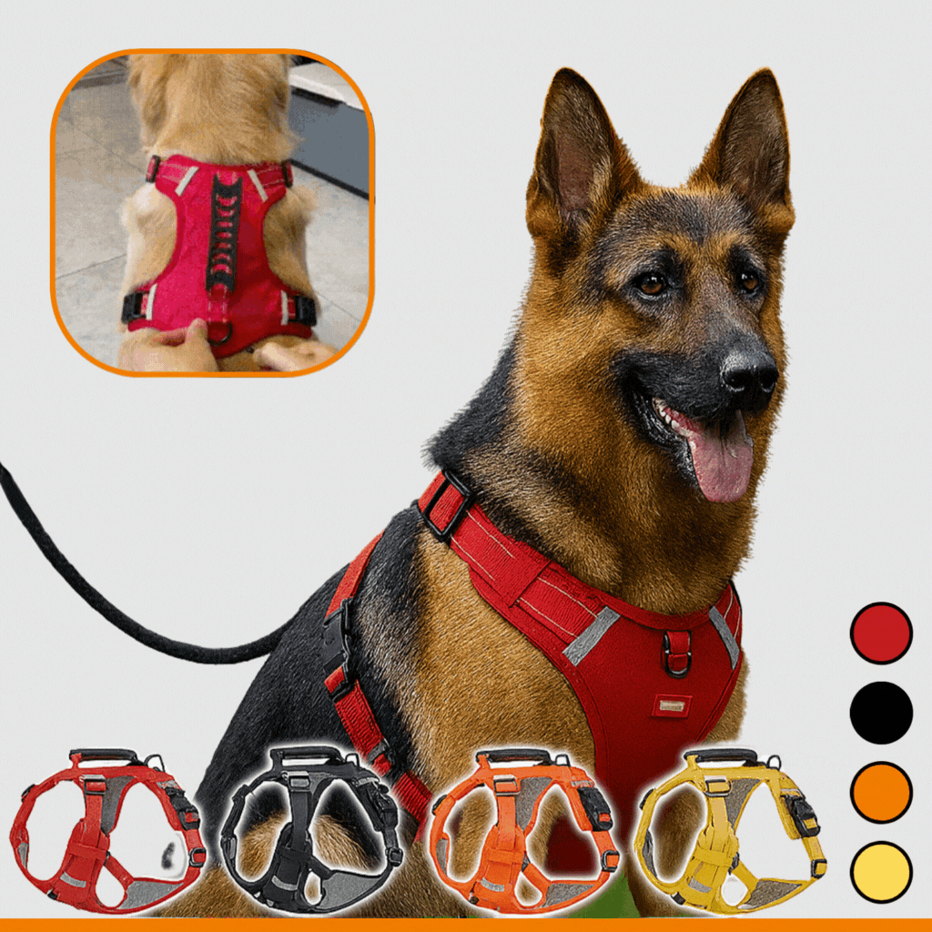 HappyHund רתמת בטיחות לכלבים — נוחה, לשליטה בטוחה בטיולים