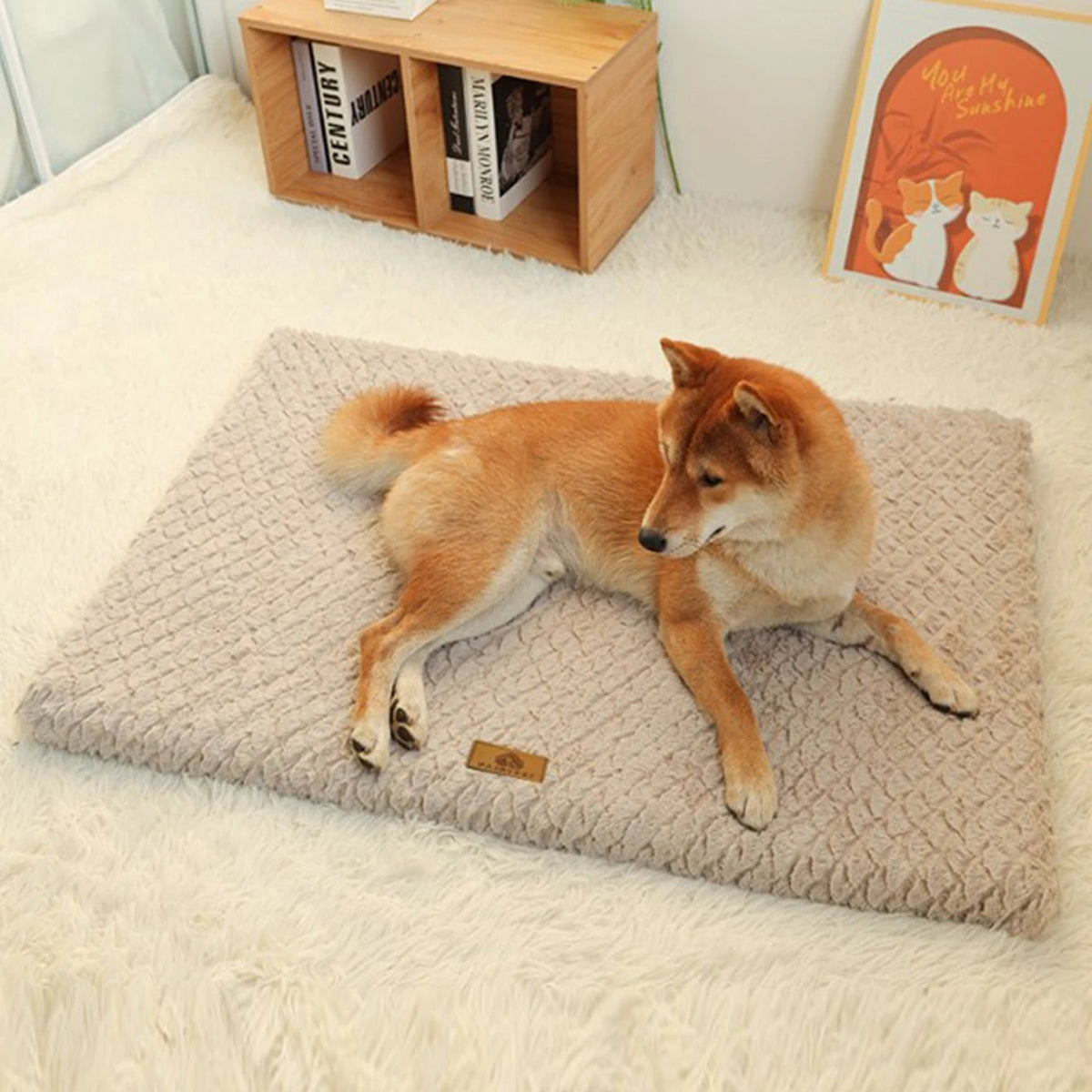 Podložka pro psy ComfyPaws — měkké polstrování, přenosná základna