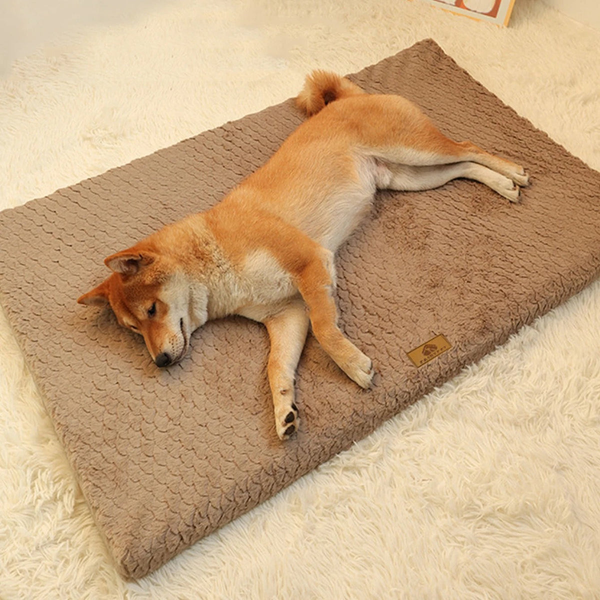 Podložka pro psy ComfyPaws — měkké polstrování, přenosná základna