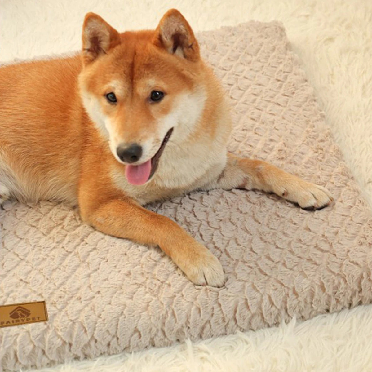 Podložka pro psy ComfyPaws — měkké polstrování, přenosná základna