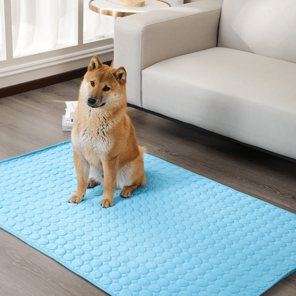 Esterilla para perros ChillPaw, de autocooling activada por presión — sin necesidad de electricidad