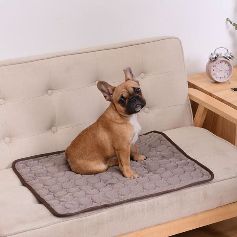 Esterilla para perros ChillPaw, de autocooling activada por presión — sin necesidad de electricidad