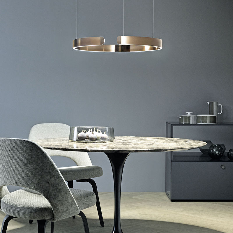 Nyxara Architectural LED Pendant With Offset Ring Pair For Modern Living Spaces And Hallways