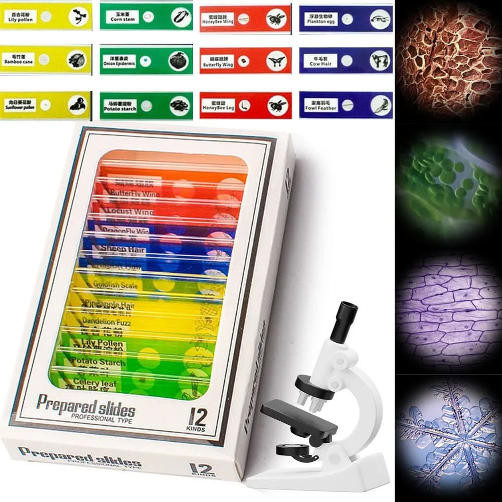 ExplorerLens Kids Microscope — 60x to 120x Magnification, Lightweight Portable Design