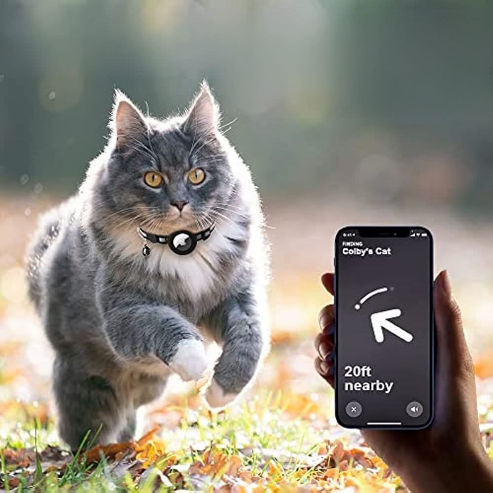 Collar rastreador GPS para gatos WhiskGuard — detalles reflectantes y hebilla de liberación rápida