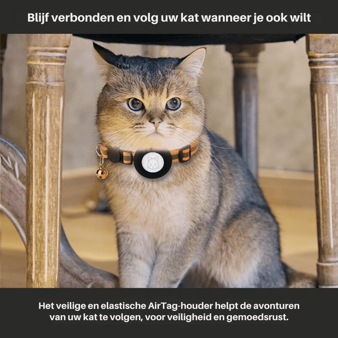 Collar rastreador GPS para gatos WhiskGuard — detalles reflectantes y hebilla de liberación rápida