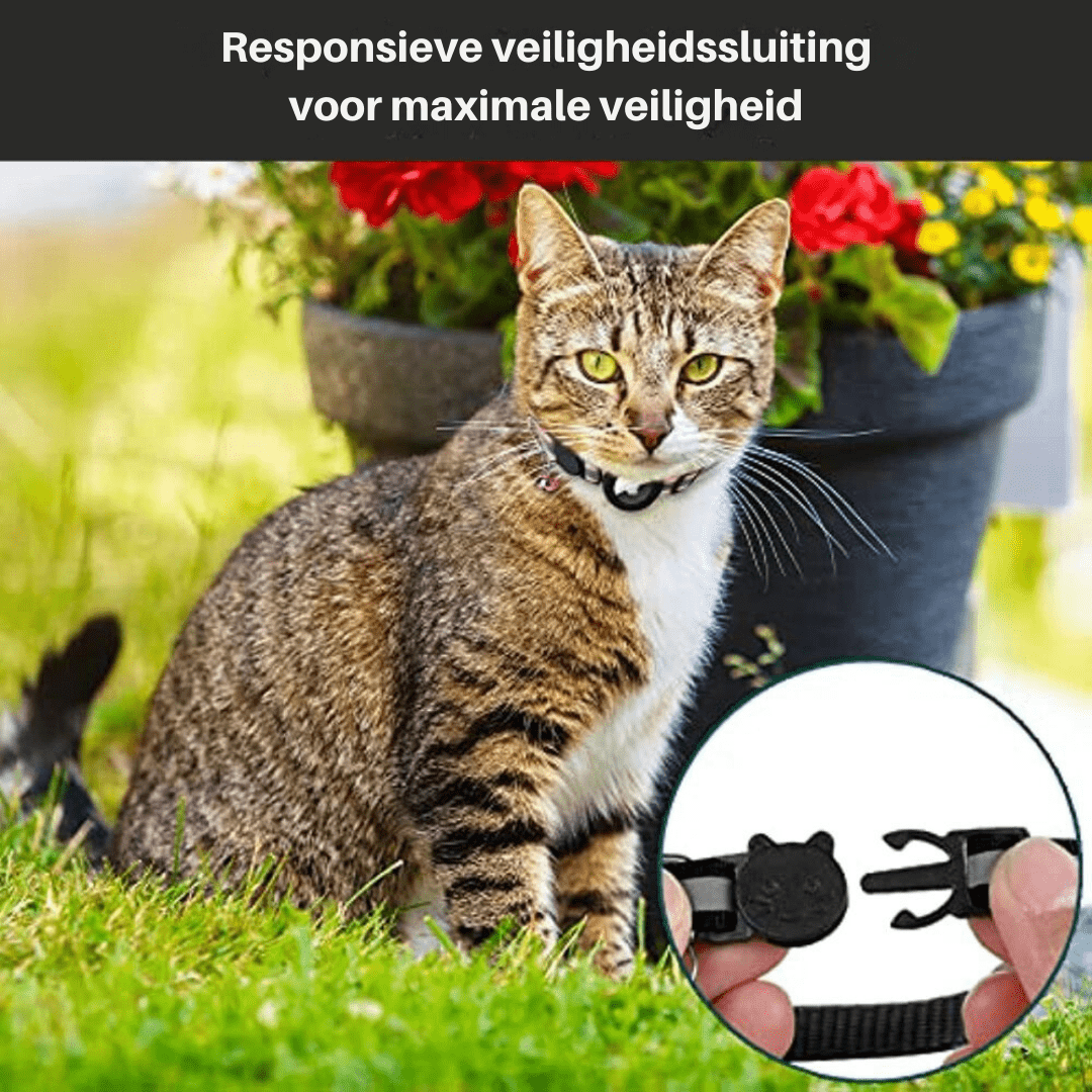 Collar rastreador GPS para gatos WhiskGuard — detalles reflectantes y hebilla de liberación rápida