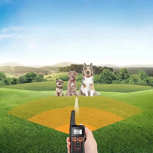 Canine Training Collar With 1000m Range, 3 Modes, Rechargeable IP67 Waterproof For Dogs