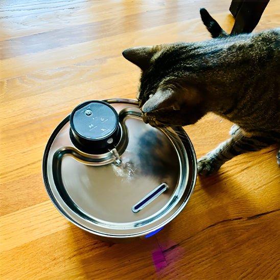 Bezdrátová fontána na vodu pro kočky — prodloužená výdrž baterie, konstrukce bez zamotávání