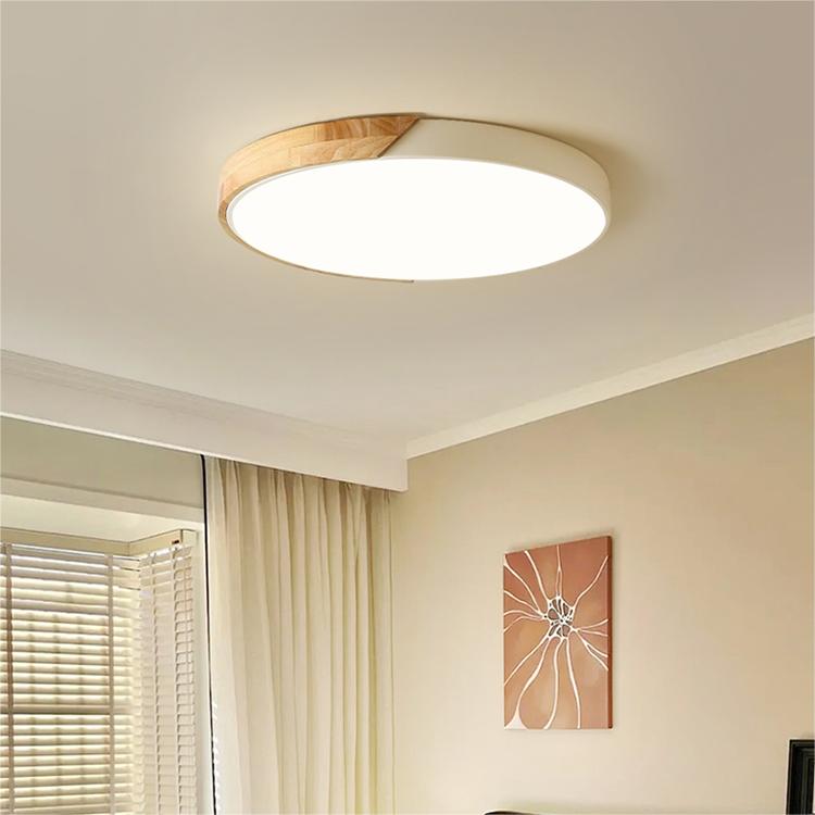 NovaLume Contemporary Round LED Ceiling Light With Flush Mount Fixture For Modern Interiors