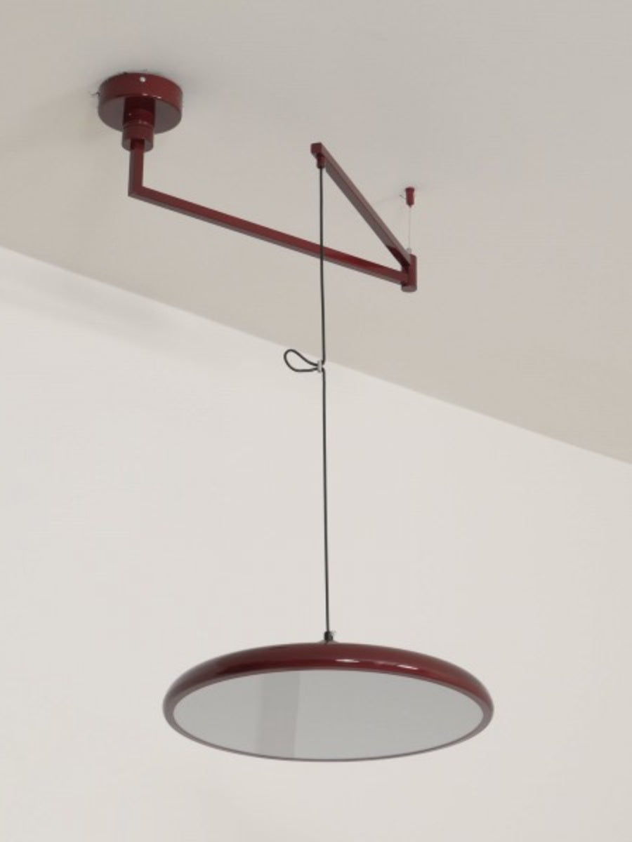 Adjustable Pendant Light With Swivel Arm In Minimalist Industrial Metal