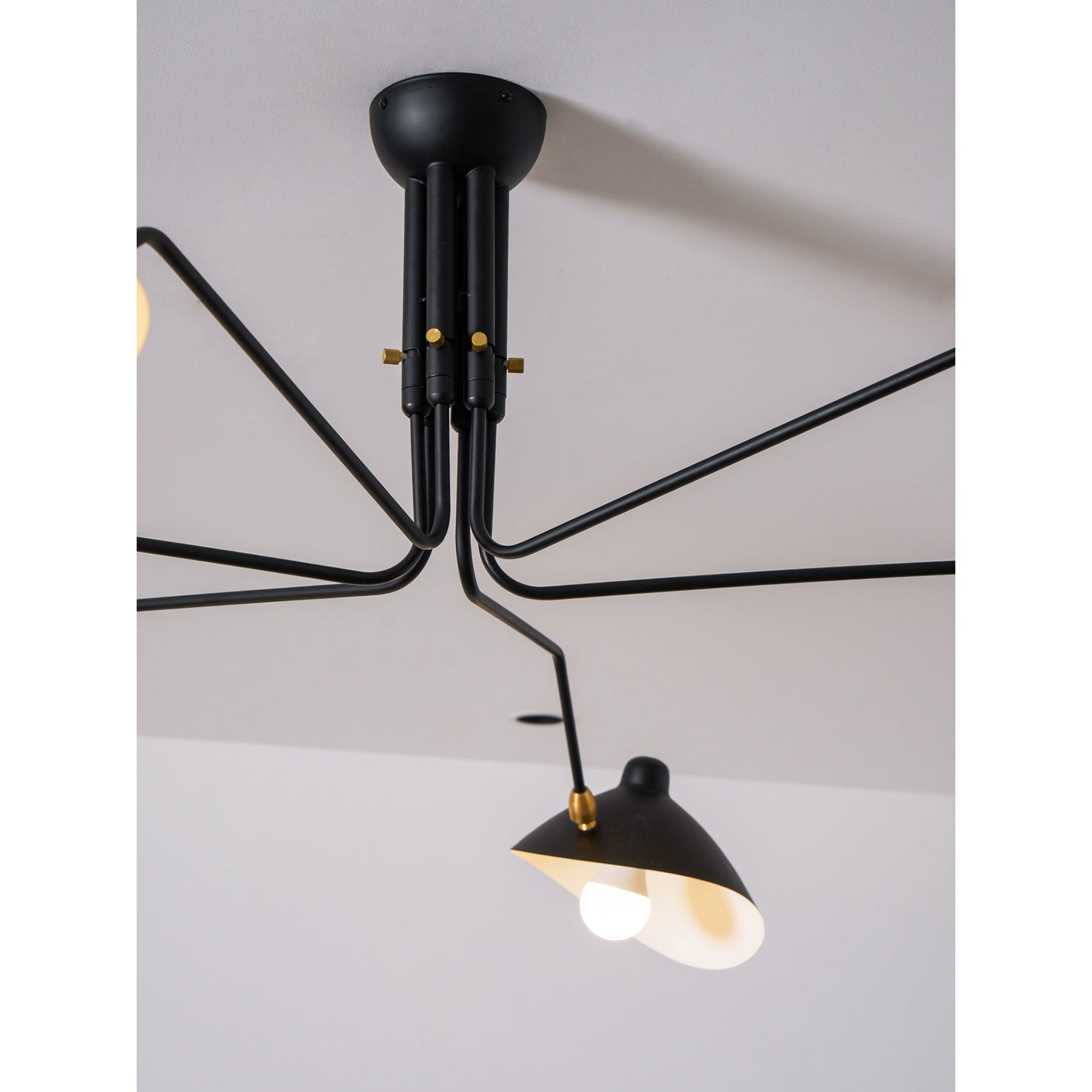 Adjustable Spider Ceiling Light, Multi-Arm, Black And White, Brass, Scandinavian Modern