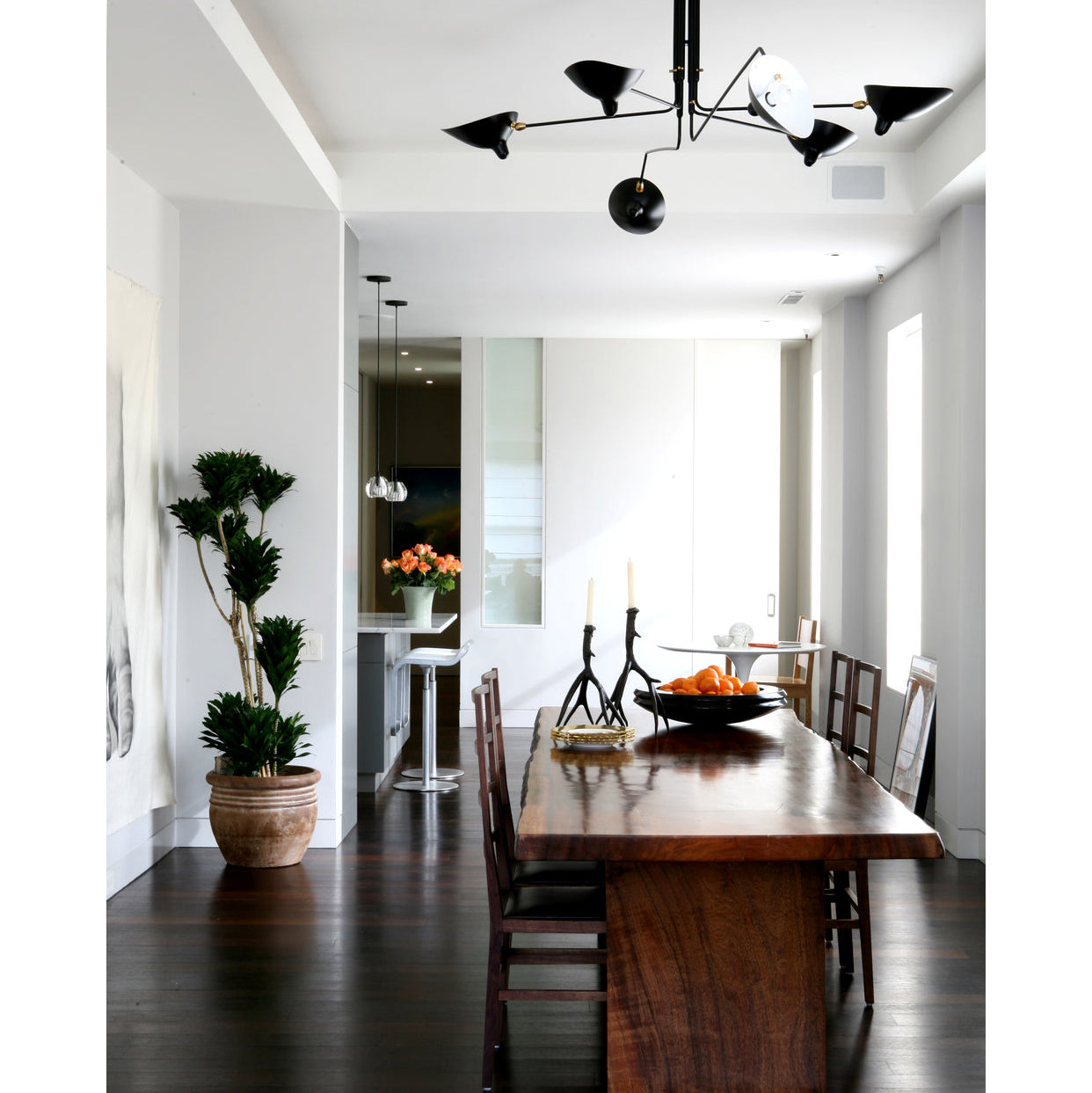 Adjustable Spider Ceiling Light, Multi-Arm, Black And White, Brass, Scandinavian Modern