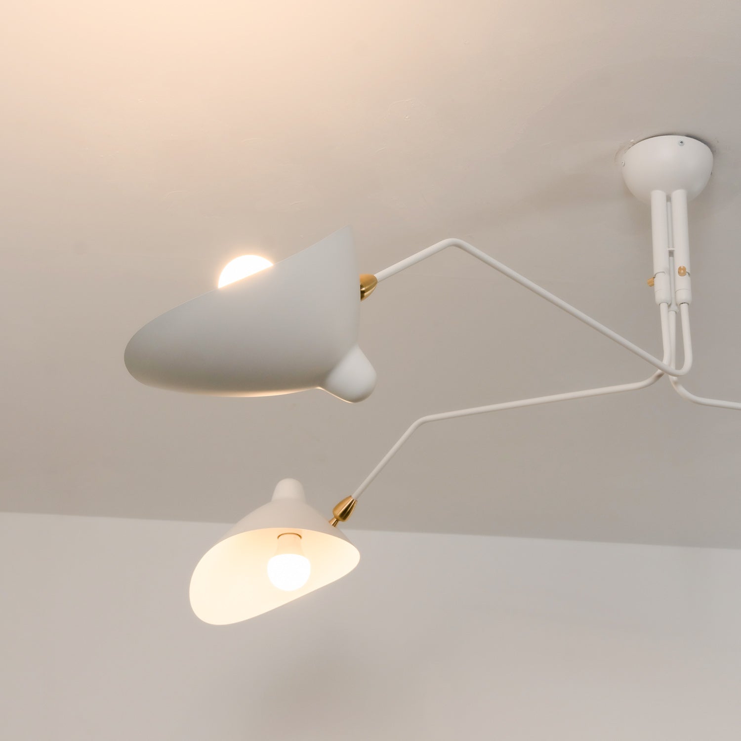 Adjustable Spider Ceiling Light, Multi-Arm, Black And White, Brass, Scandinavian Modern