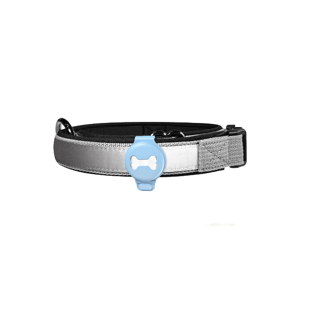NovaTrail Dog Activity Tracker and Remote Locator — Live Location Updates