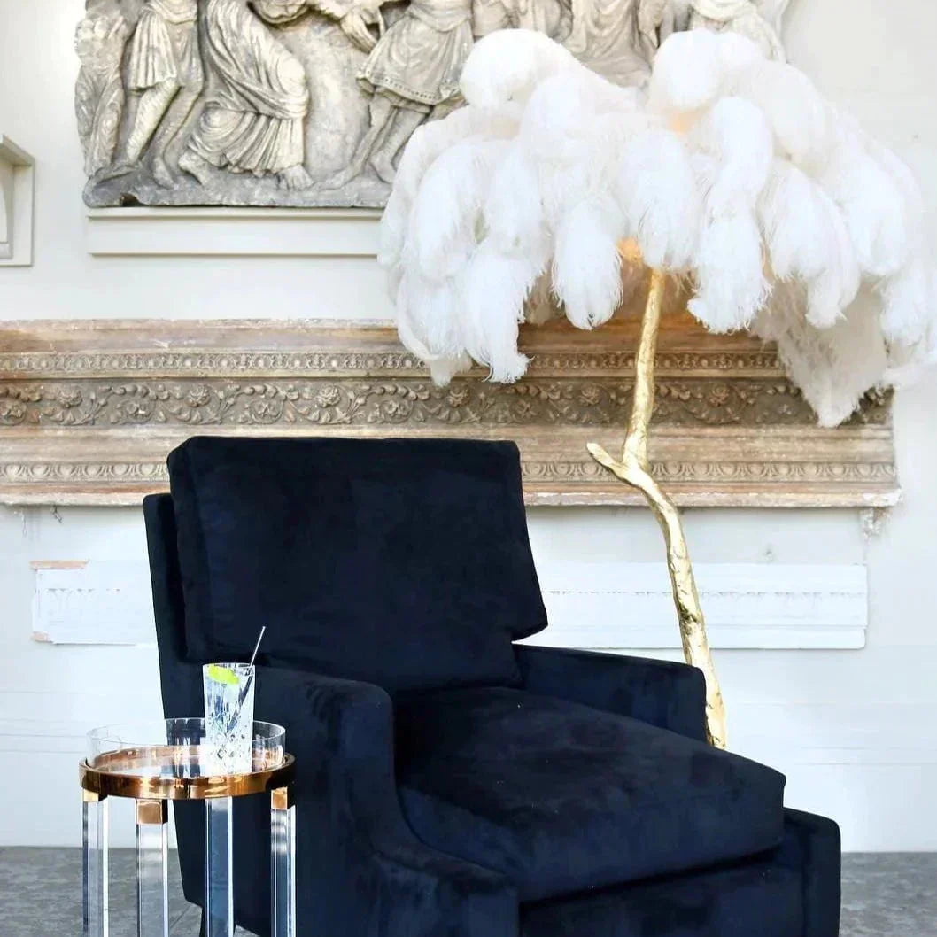 AstraLoom Ostrich Feather LED Floor Lamp With Adjustable Height For Home And Gentle Glow