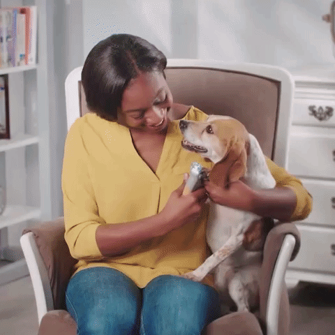 Cortauñas de precisión para perros — Sensor rápido, agarre ergonómico, compatible con perros de todos los tamaños