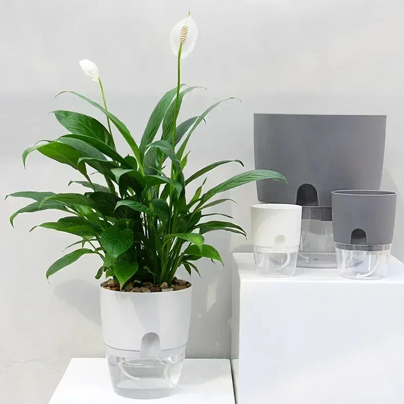 Clear Dual-Tier Plastic Planter With Self-Watering System And Injection Port