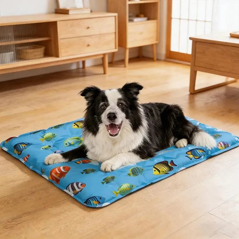 Gel-Kühlmatte für Hunde und Katzen — Abkühlung ohne Strom und Wasser