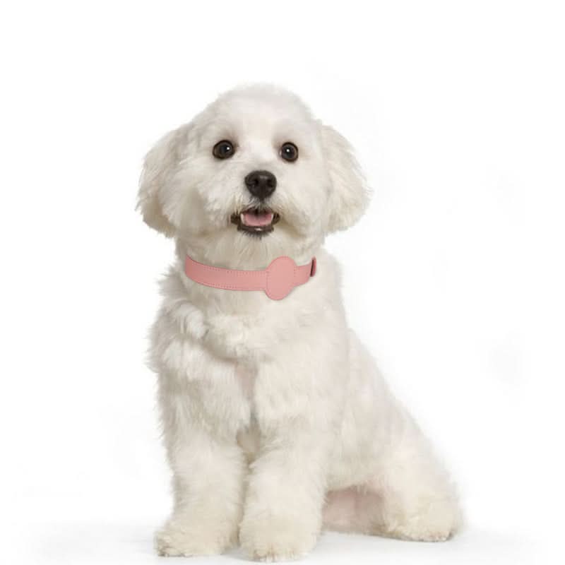 PawGuard nyakörv — beépített AirTag-tartó nyílás