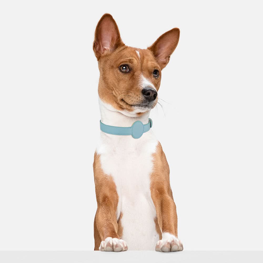 PawGuard nyakörv — beépített AirTag-tartó nyílás