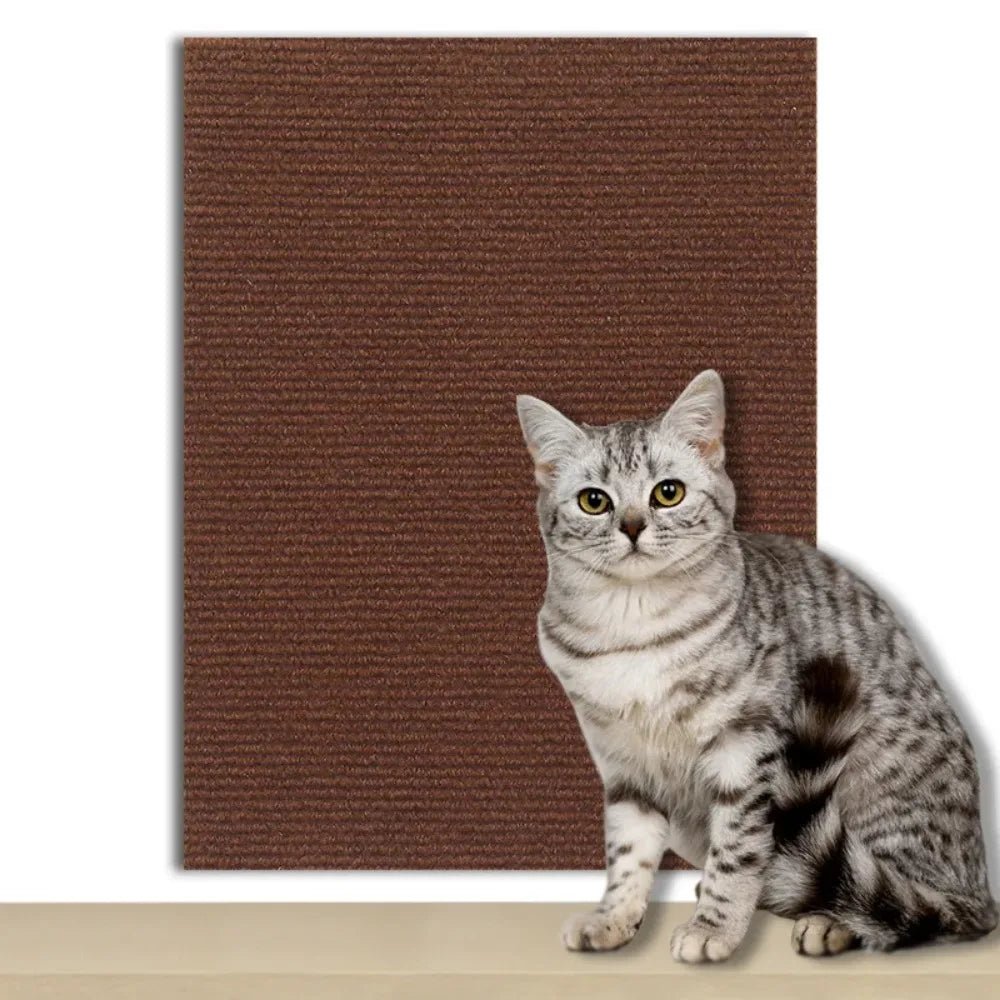 PawGuard Shield-kattplatta — självhäftande baksida, transparent kantskydd