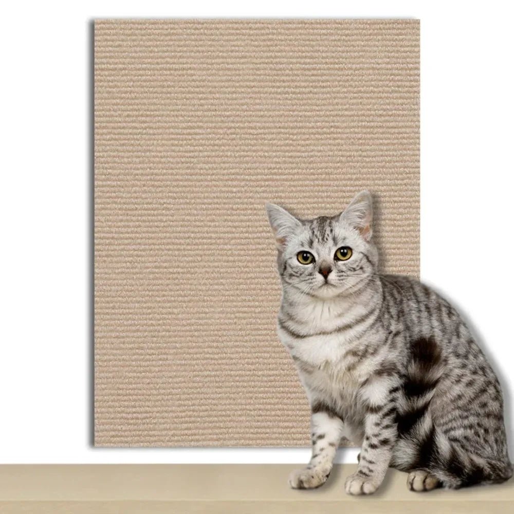 PawGuard Shield-kattplatta — självhäftande baksida, transparent kantskydd
