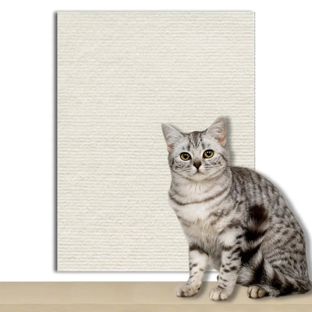 PawGuard Shield-kattplatta — självhäftande baksida, transparent kantskydd