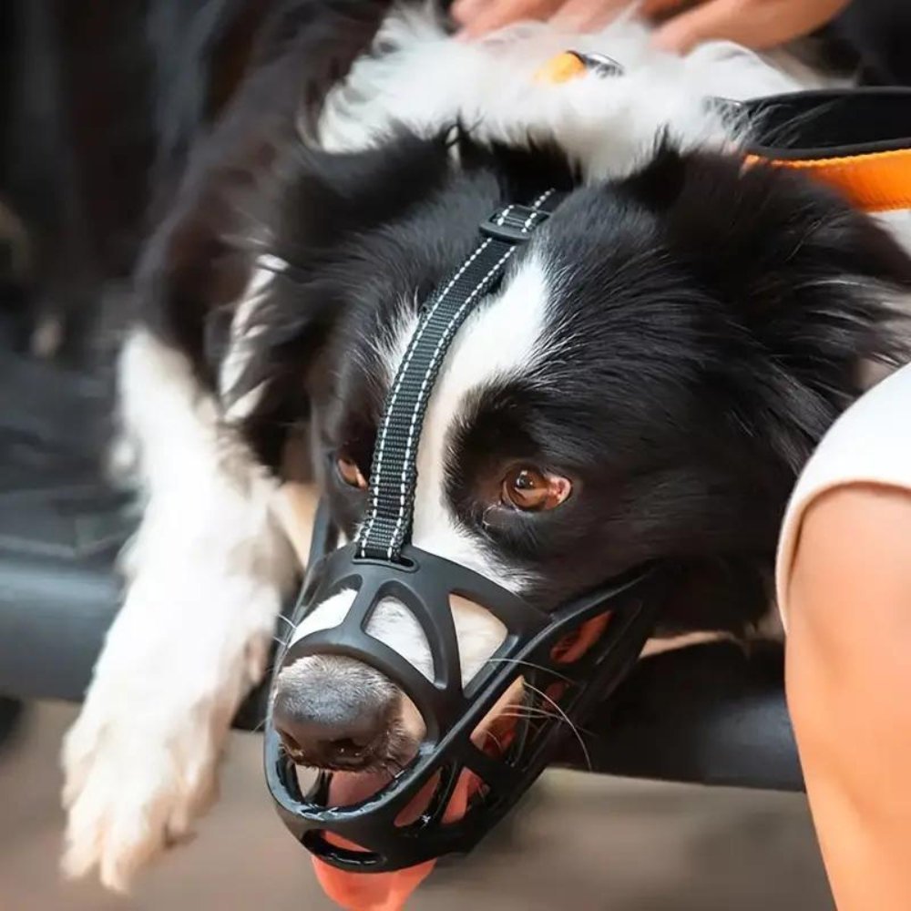 CalmPaw Gentle Dog Muzzle — Breathable, Lightweight Non-Restrictive Design