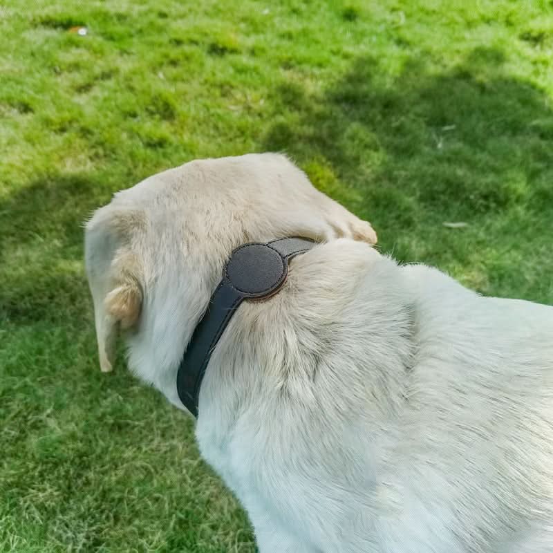 PawGuard nyakörv — beépített AirTag-tartó nyílás