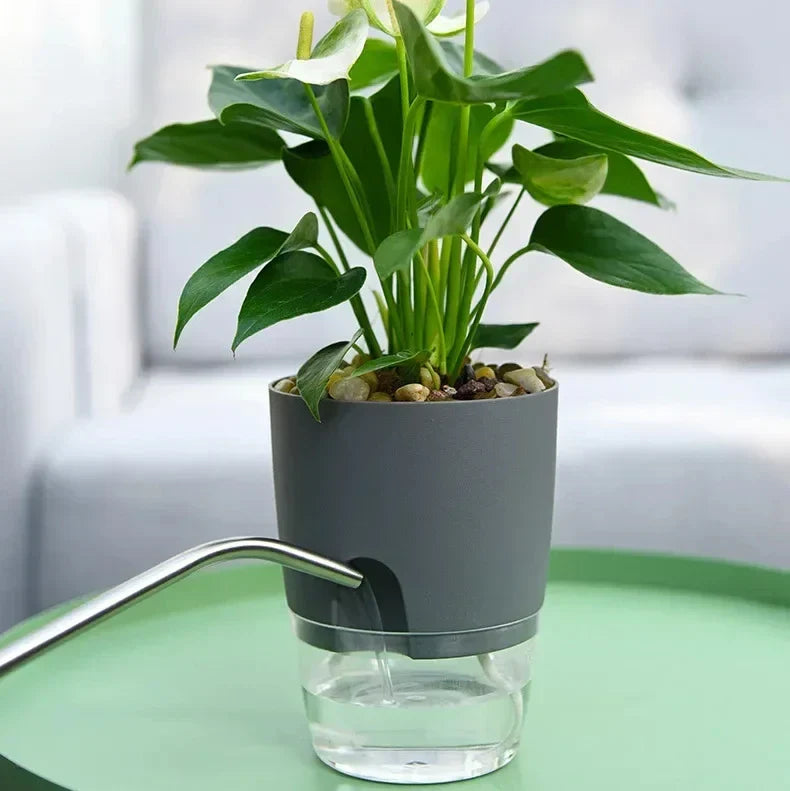 Clear Dual-Tier Plastic Planter With Self-Watering System And Injection Port