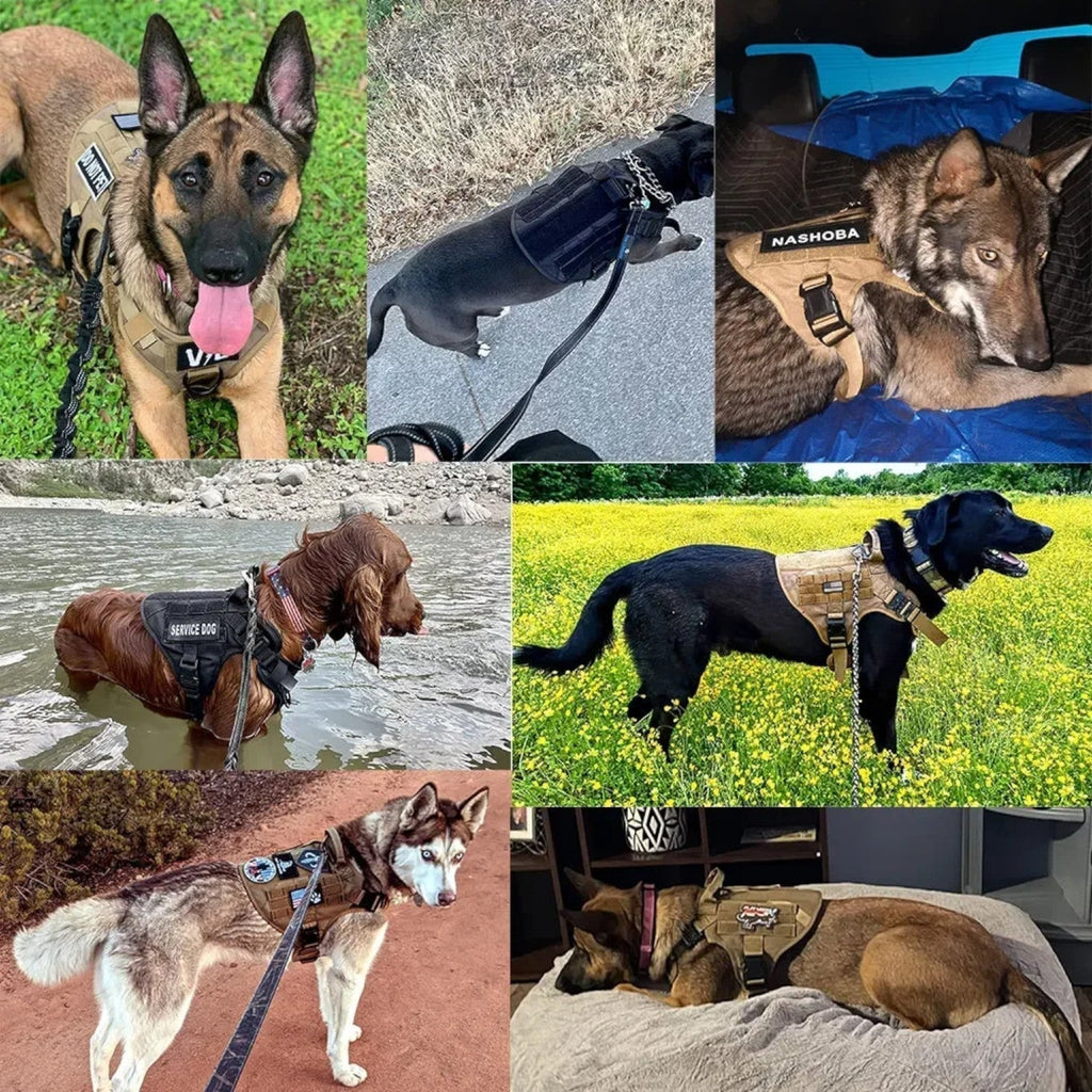 Tactical Dog Harness With Quick Release And Handle - Adjustable Training Vest For Control