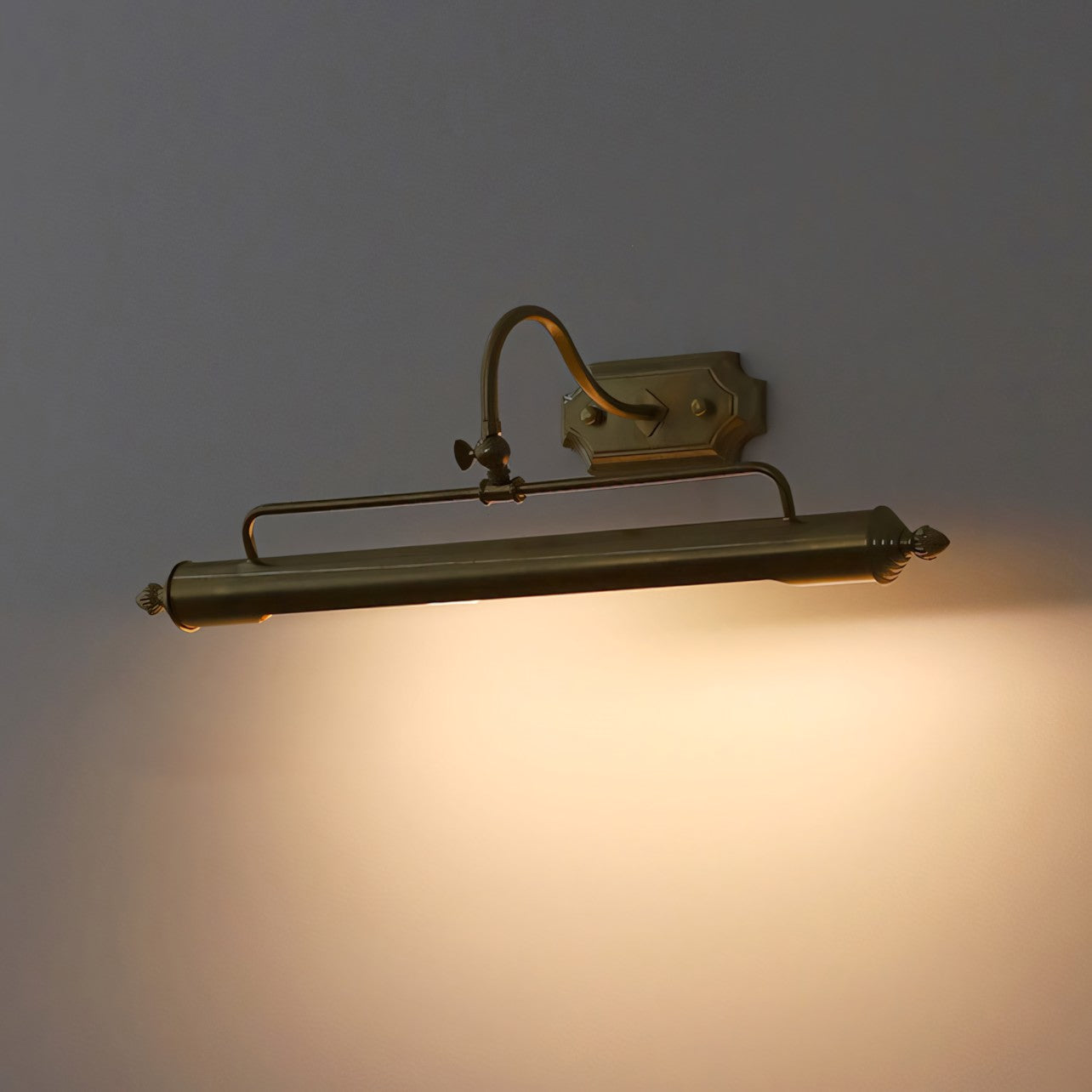 Vellichor Adjustable Gooseneck Wall Lamp for Art and Mirrors, Industrial Lighting