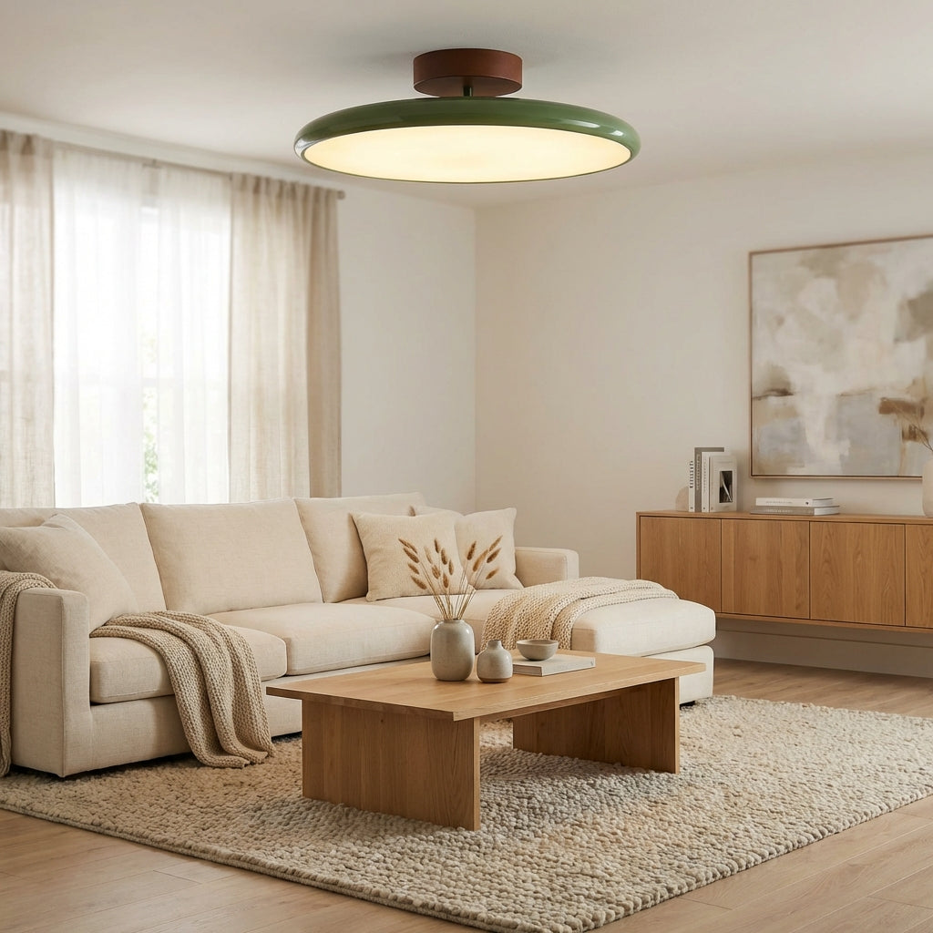 NovaLux Ceiling Mount With Adjustable Directional Lighting For A Subtle Silhouette In Any Room