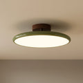 NovaLux Ceiling Mount With Adjustable Directional Lighting For A Subtle Silhouette In Any Room
