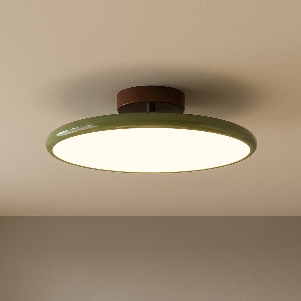 NovaLux Ceiling Mount With Adjustable Directional Lighting For A Subtle Silhouette In Any Room