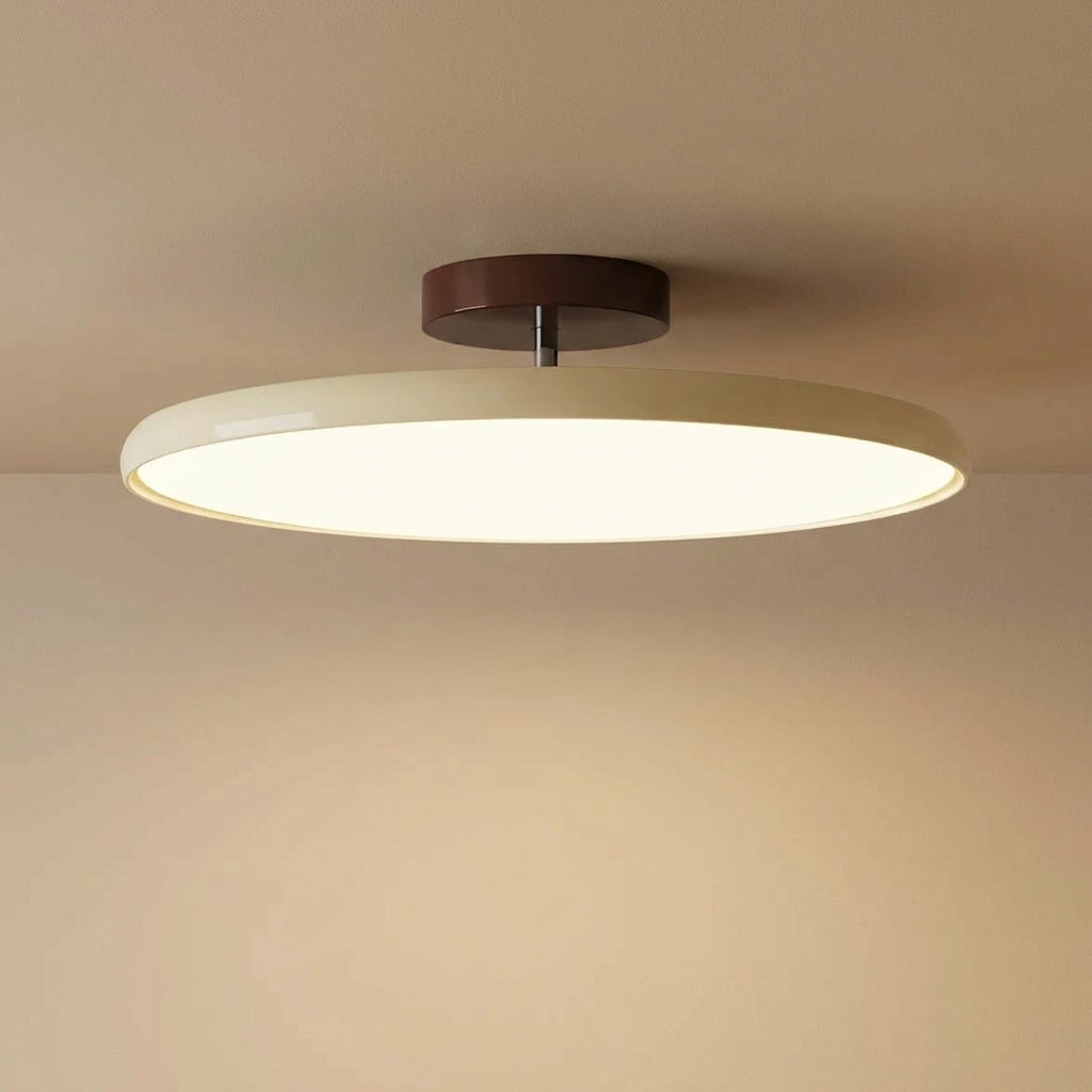 NovaLux Ceiling Mount With Adjustable Directional Lighting For A Subtle Silhouette In Any Room